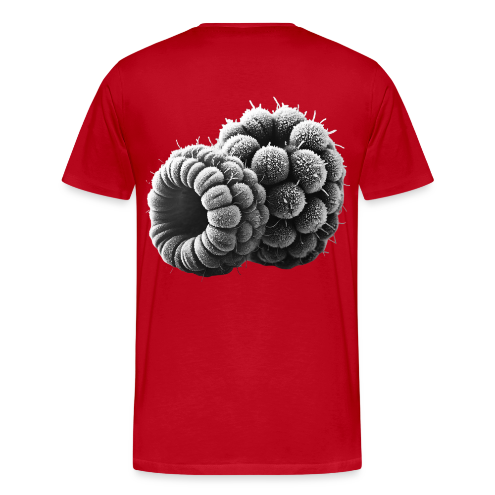 Men T-Shirt Frozen Berries - Rot