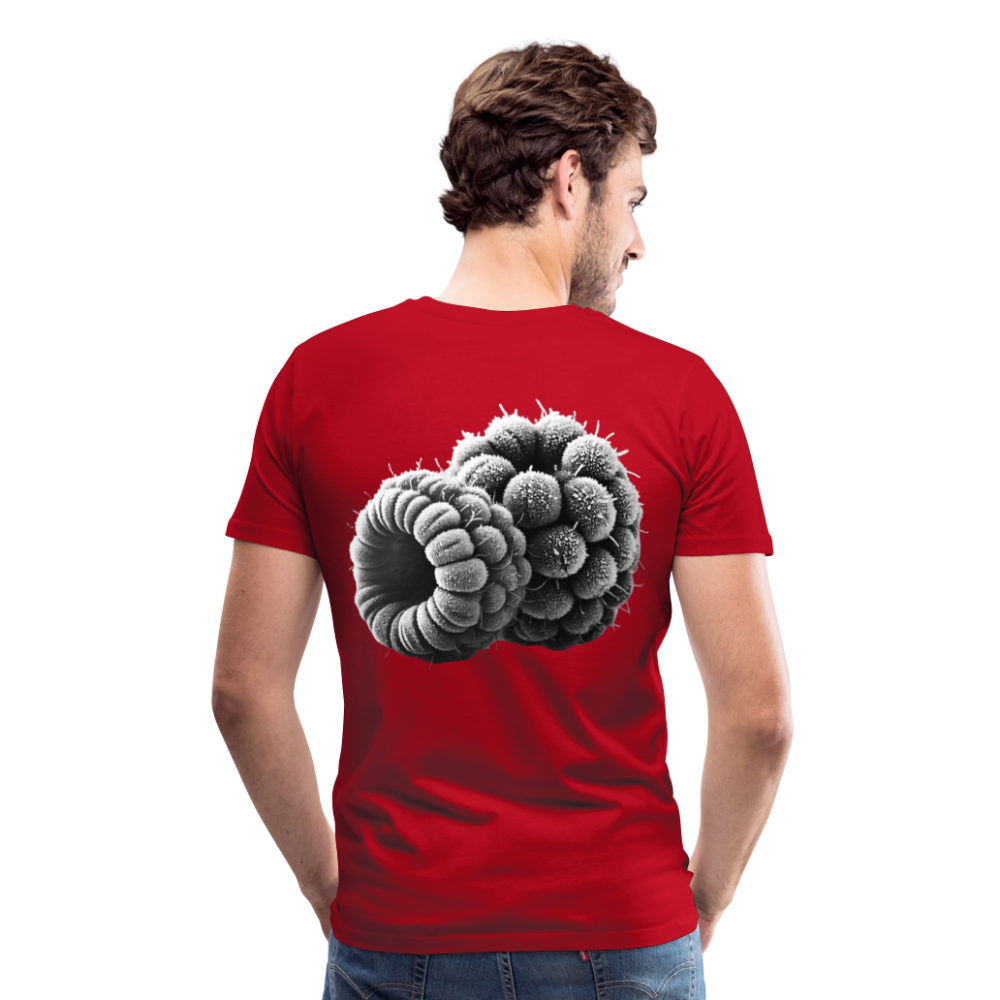 Men T-Shirt Frozen Berries - Rot