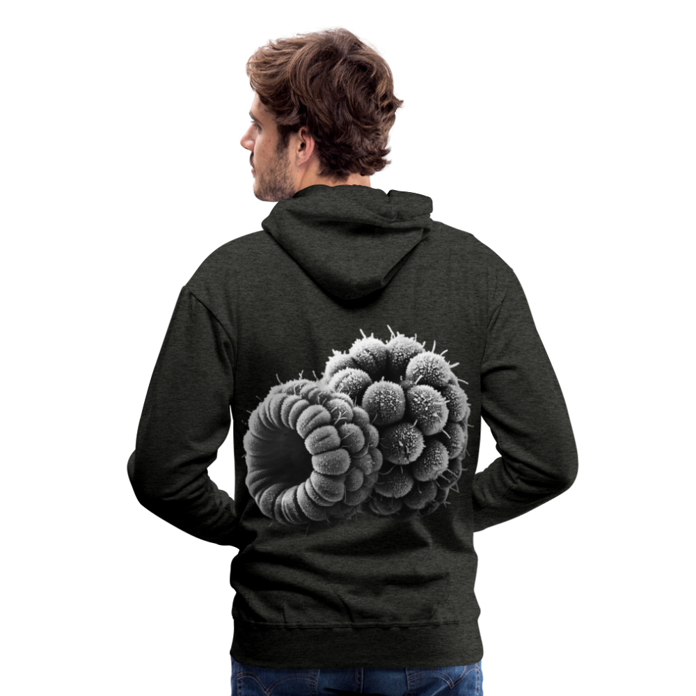 Men Hoodie Frozen Berries - Anthrazit