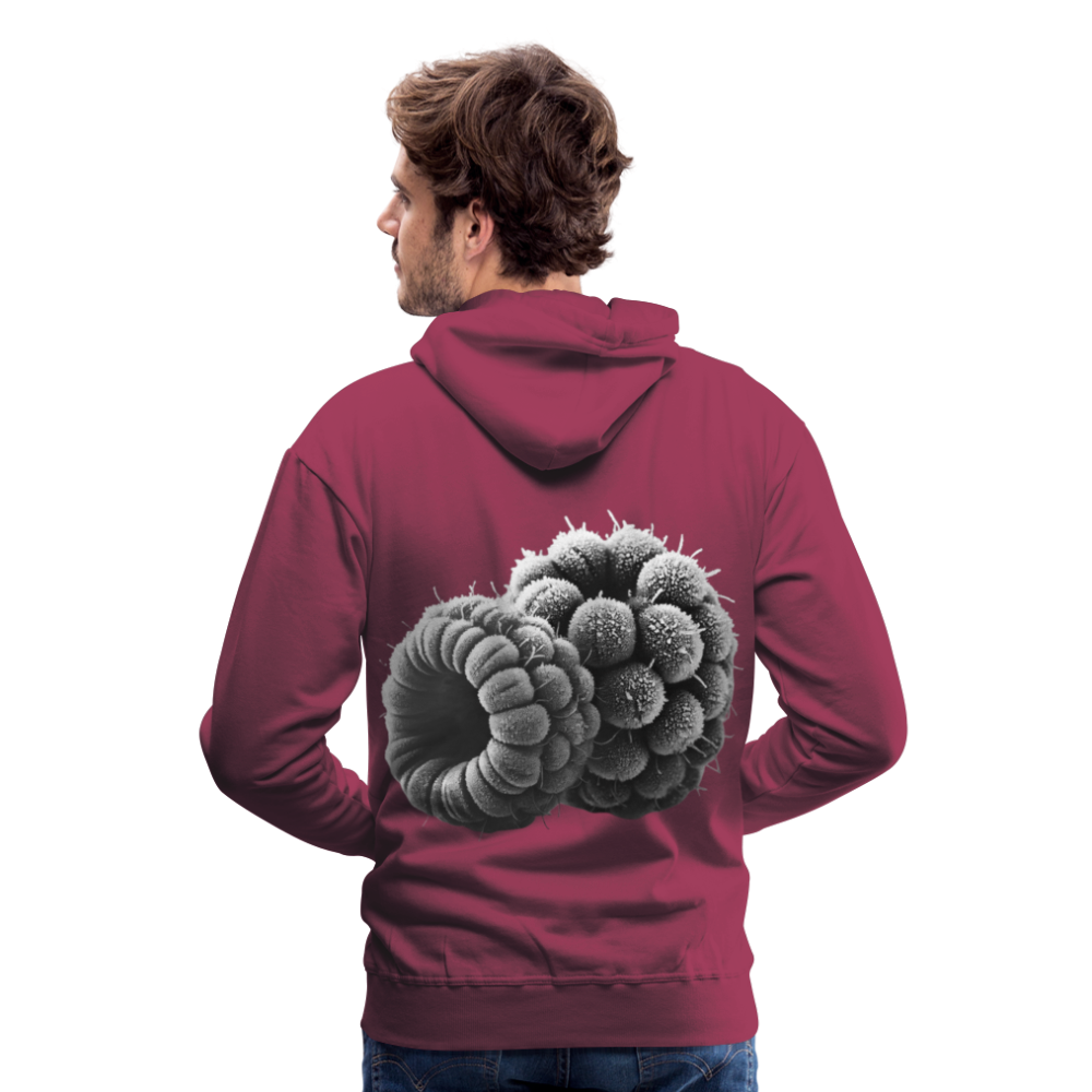Men Hoodie Frozen Berries - Bordeaux