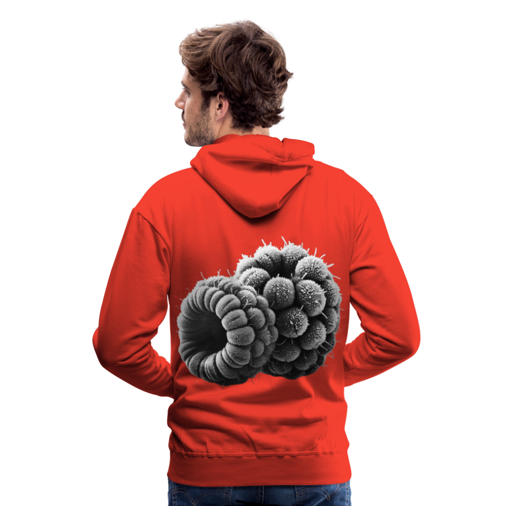 Men Hoodie Frozen Berries - Rot